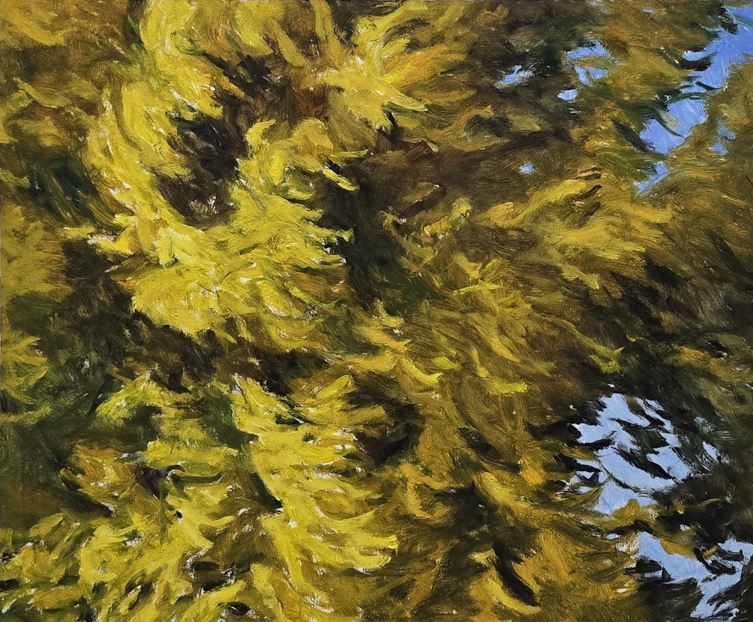 Choi Seon Kil 최선길 — Choi Seon Kil 최선길